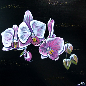 Orchidee 1