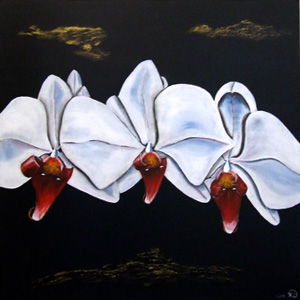 Orchidee 6
